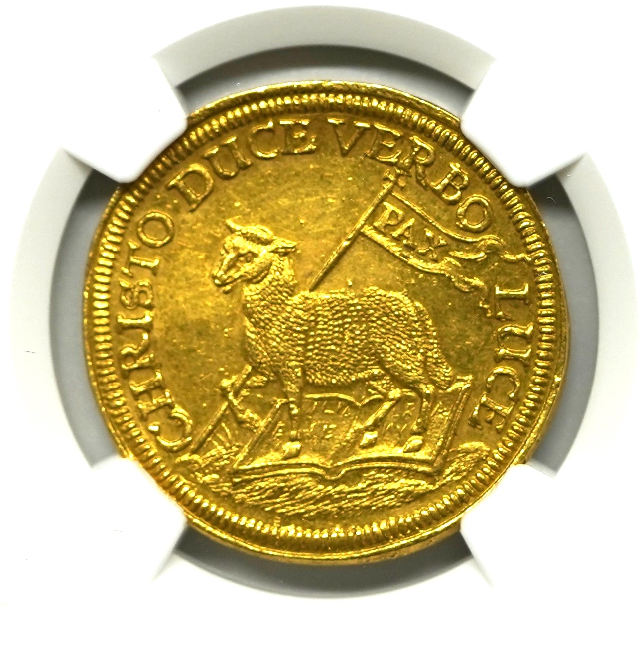 ガリュディアスモモミーズ 金 1枚 ガリュディアスモモミーズ 金 1枚 : 頂上混成ガリュディア