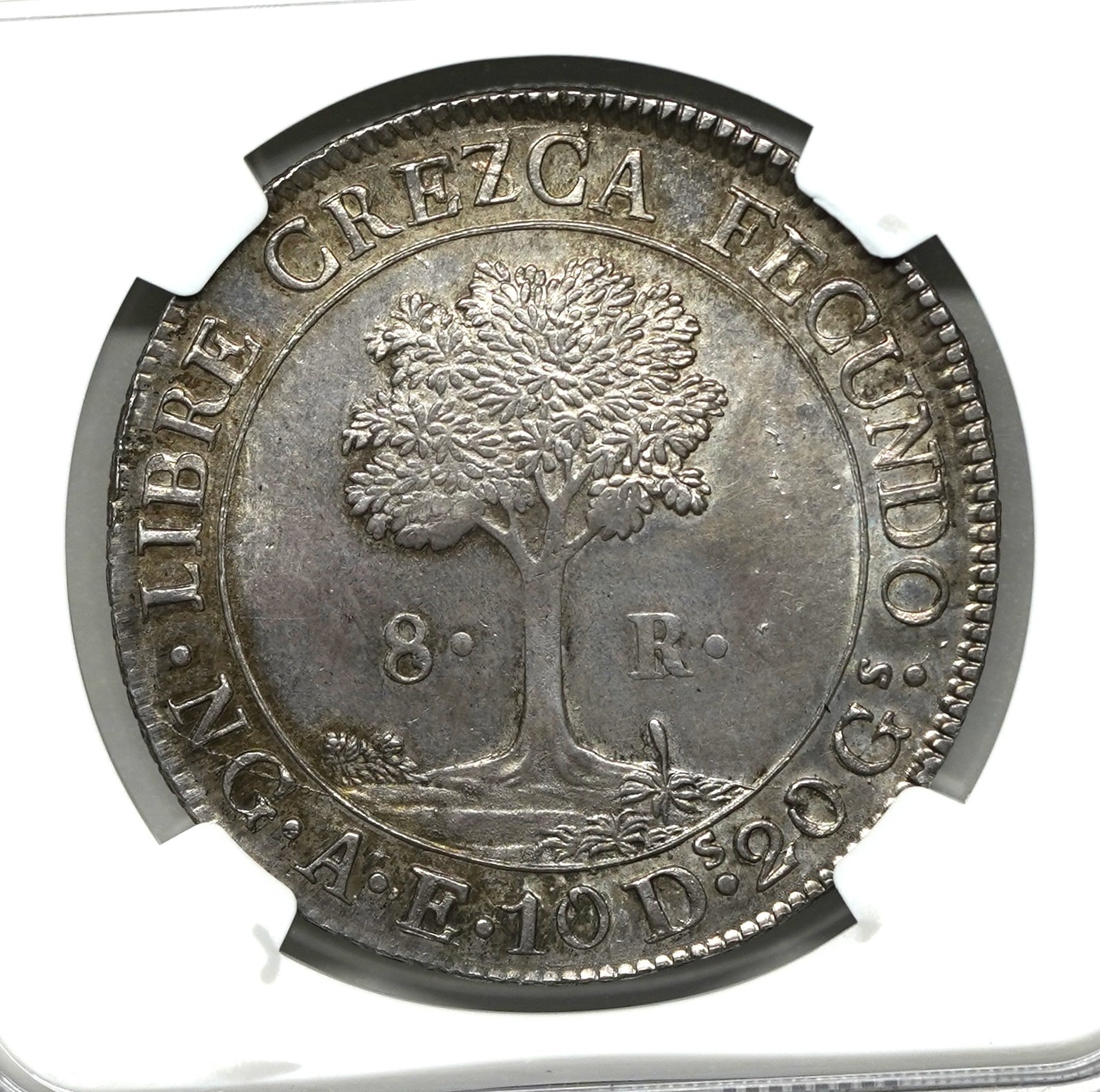 1844-G PCGS MS 67 中央アメリカ代表 1/4 レアル グアテマラ コイン POP 4/0