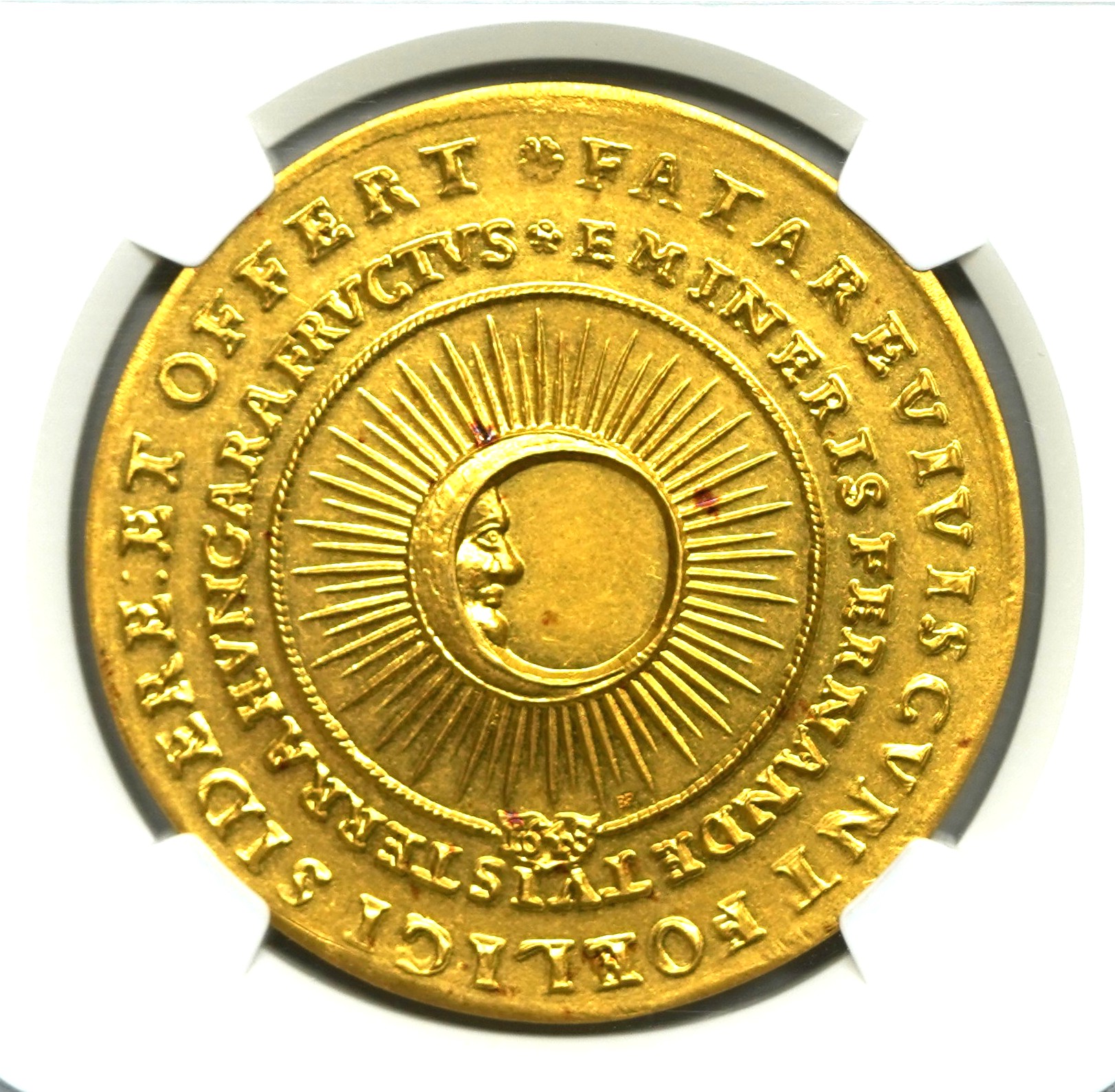 Sold】【ハンガリー博物館監修】1648年（2022年） ハンガリー